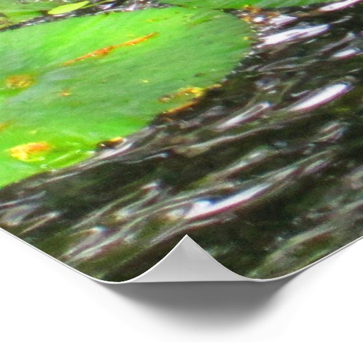 OAHU, HAWAII # 8 POSTER (Ecke)