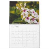 Oahu, Hawaii Fotografie durch Restore Kalender (Mär 2026)