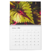 Oahu, Hawaii Fotografie durch Restore Kalender (Jan 2026)