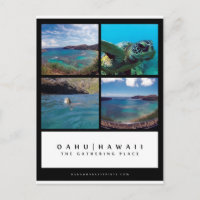 Oahu Hawaii Hanauma Bay Post Card