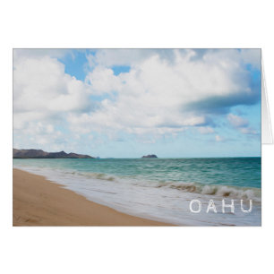 Oahu Hawaii Ocean Waves & Beach