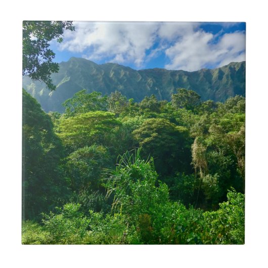 Oahu, Hawaii Regenwald Fliese (Vorderseite)