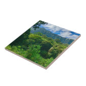 Oahu, Hawaii Regenwald Fliese (Seite)