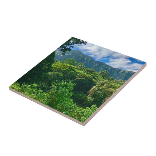 Oahu, Hawaii Regenwald Fliese (Seite)