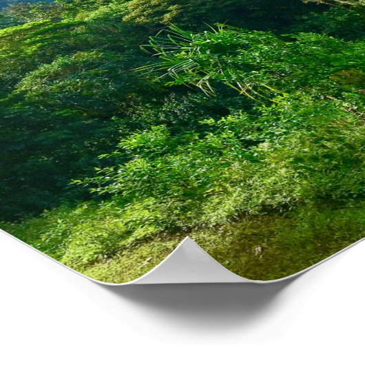 Oahu, Hawaii Regenwald Poster (Ecke)