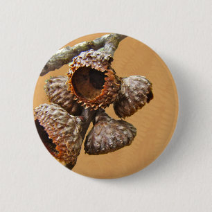 Oak Acorn Caps Button