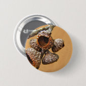 Oak Acorn Caps Button (Vorne & Hinten)
