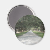 Oak Alley in Boone Hall, Charleston SC Magnet (Vorderseite/Rückseite)