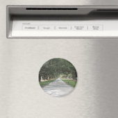 Oak Alley in Boone Hall, Charleston SC Magnet (In Situ (Geschirrspüler))