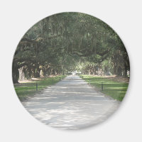 Oak Alley in Boone Hall, Charleston SC Magnet