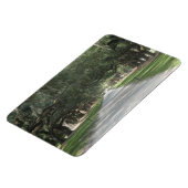 Oak Alley in Boone Hall, Charleston SC Magnet (Linke Seite)