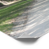 Oak Alley in Boone Hall, Charleston SC Poster (Ecke)