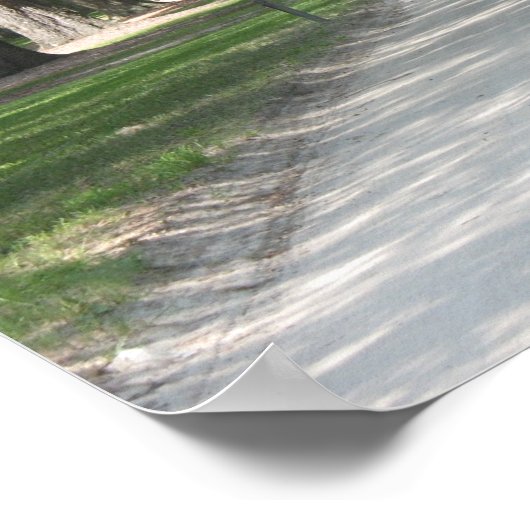 Oak Alley in Boone Hall, Charleston SC Poster (Ecke)