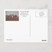 Oak Alley-Live Eichenbaum Zweige, Oak Alley Pla.. Postkarte (Rückseite)