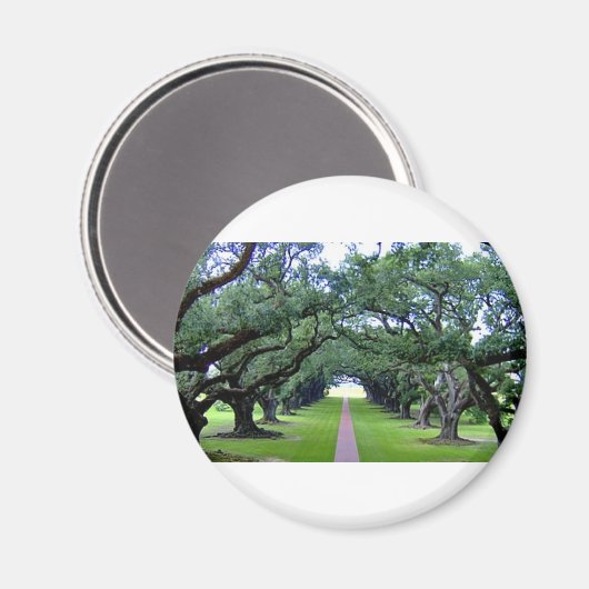 Oak Alley Magnet (Vorderseite/Rückseite)