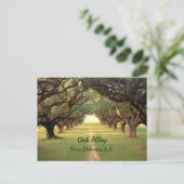Oak Alley New Orleans Postcard Postkarte (Stehend Vorderseite)