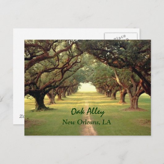 Oak Alley New Orleans Postcard Postkarte (Vorne/Hinten)