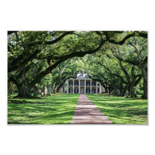 Oak Alley Plantation Fotodruck (Vorne)