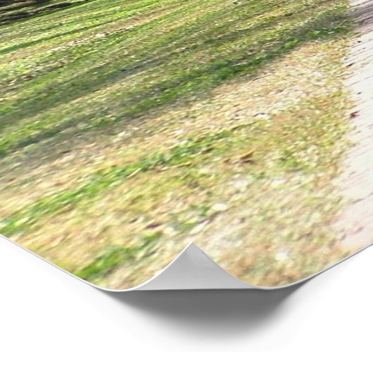 Oak Alley Plantation Poster (Ecke)