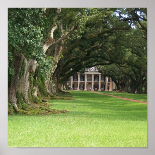 Oak Alley Plantation Poster (Vorne)