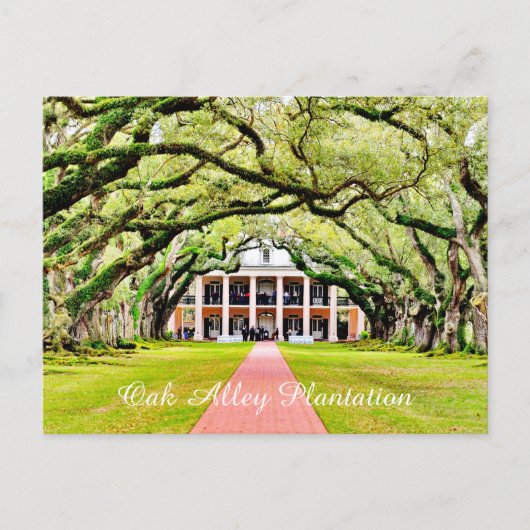 Oak Alley Plantation Postkarte (Vorderseite)