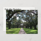 Oak Alley Plantation Postkarte (Vorne/Hinten)