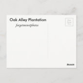 Oak Alley Plantation Postkarte (Rückseite)