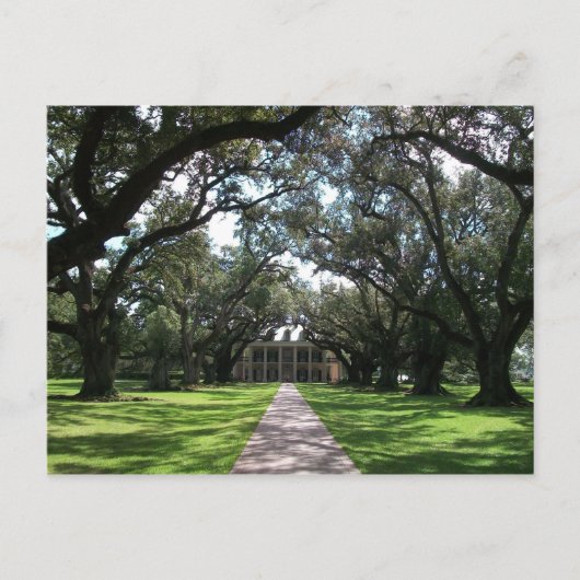 Oak Alley Plantation Postkarte (Vorderseite)