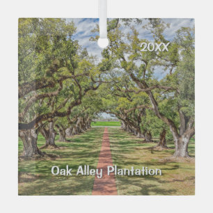 Oak Alley Plantation, Südliche Olivenbäume Ornament Aus Glas