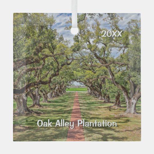 Oak Alley Plantation, Südliche Olivenbäume Ornament Aus Glas (Vorderseite)