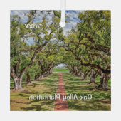 Oak Alley Plantation, Südliche Olivenbäume Ornament Aus Glas (Rückseite)