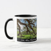 Oak Alley Plantation, Südliche Olivenbäume Tasse (Links)