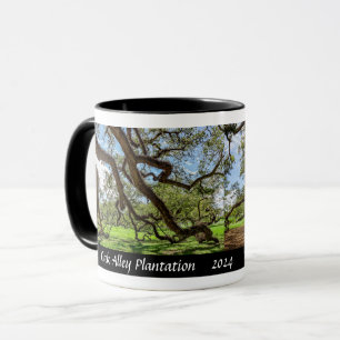 Oak Alley Plantation, Südliche Olivenbäume Tasse