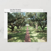 Oak Alley Plantway Postkarte (Vorne/Hinten)