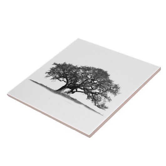 OAK-BAUM IN SILHOUETTE  FLIESE (Seite)