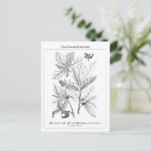 Oak-Blätter und Acorns - Postkarte mit individuell (Stehend Vorderseite)