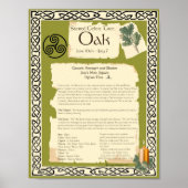 OAK CELTIC SACRED TREM POSTER (Vorne)