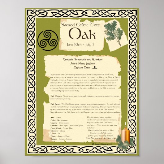 OAK CELTIC SACRED TREM POSTER (Vorne)