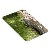 Oak Creek II in Sedona Arizona Naturfotografie Magnet (Rechte Seite)