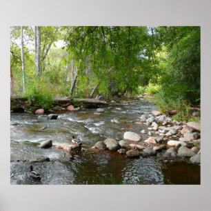 Oak Creek und Mallard Encks Naturfotografie Poster