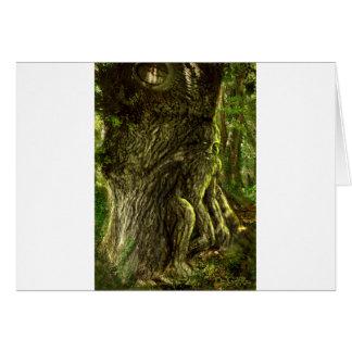 Oak Father
