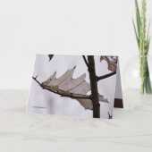Oak Ghost Leaf Karte (Vorderseite)