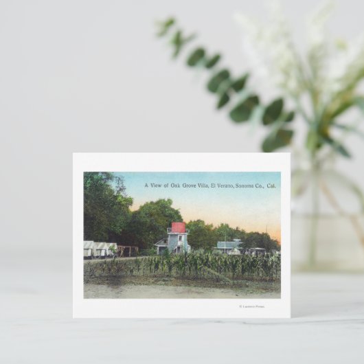 Oak Grove Villa SceneEl Verano, CA Postkarte (Stehend Vorderseite)