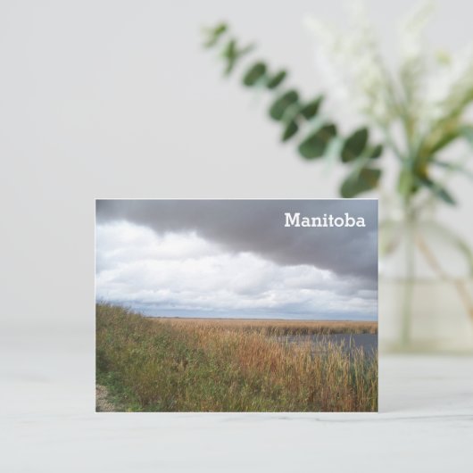 Oak Hammock Marsh Postkarte (Stehend Vorderseite)