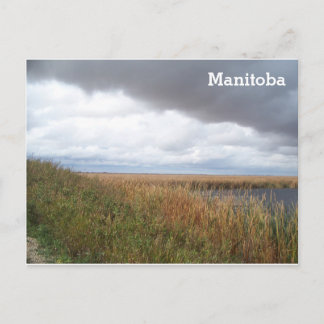 Oak Hammock Marsh Postkarte