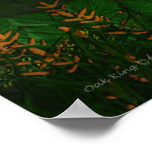 Oak King Poster (Ecke)