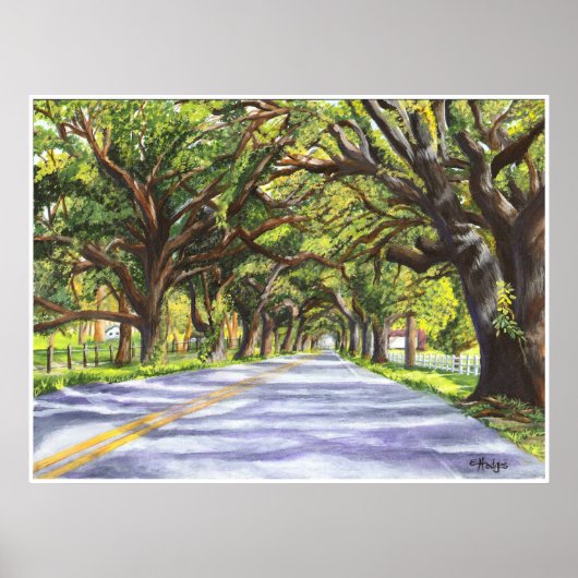 Oak Linde Road Poster (Vorne)