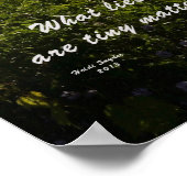 Oak Orchard Swamp Poster (Ecke)