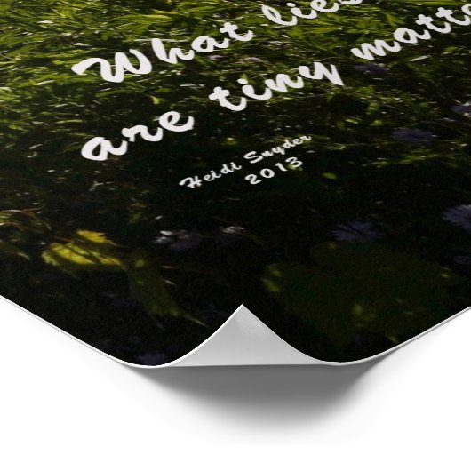 Oak Orchard Swamp Poster (Ecke)