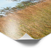 Oak Tree and Tall Grass Prairie Fotodruck (Ecke)